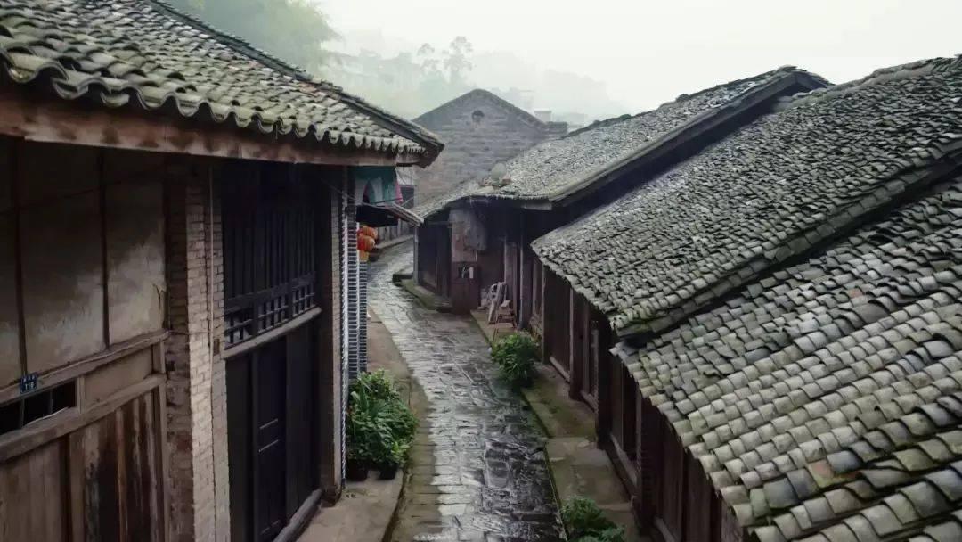 【济南】2024青春音乐节(许巍、二手玫瑰、回春丹等)河马票务
